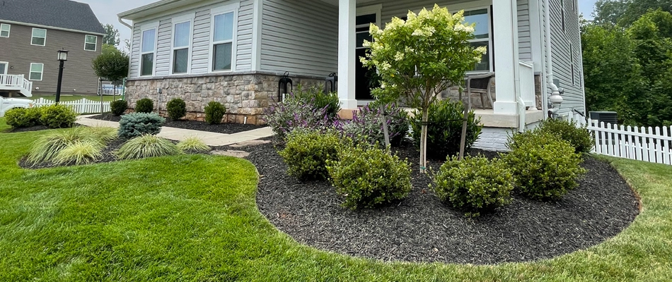 Nicely manicured plants in front of a residential property. 