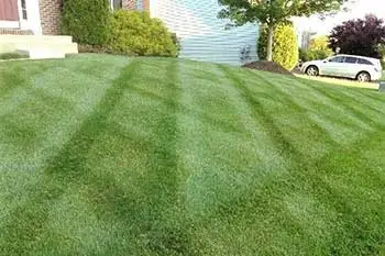 Healthy, green, lush lawn that receives fertilization treatments by our team of professionals. 