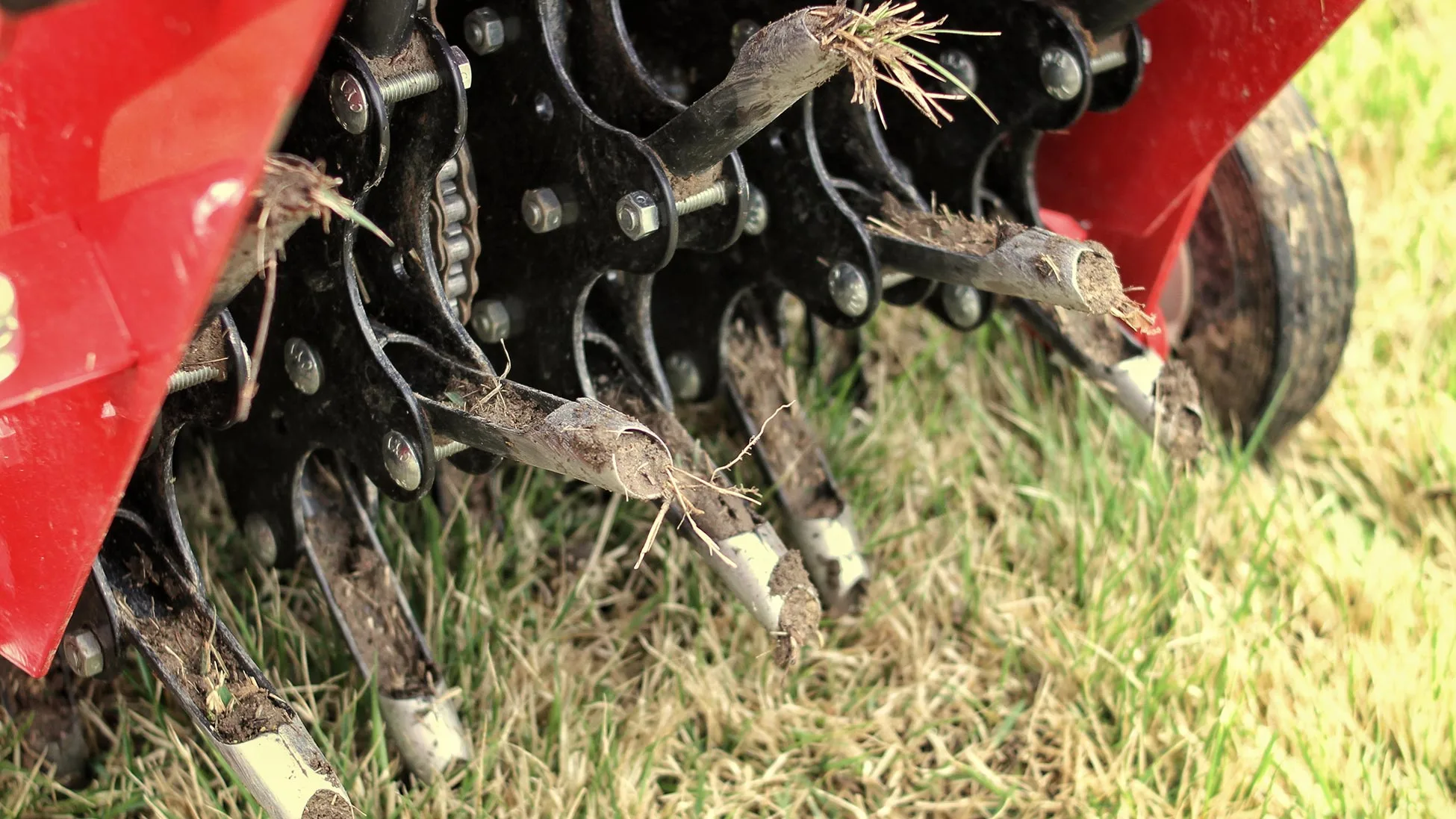 Core aeration is an important ingredient towards restoring your lawn.