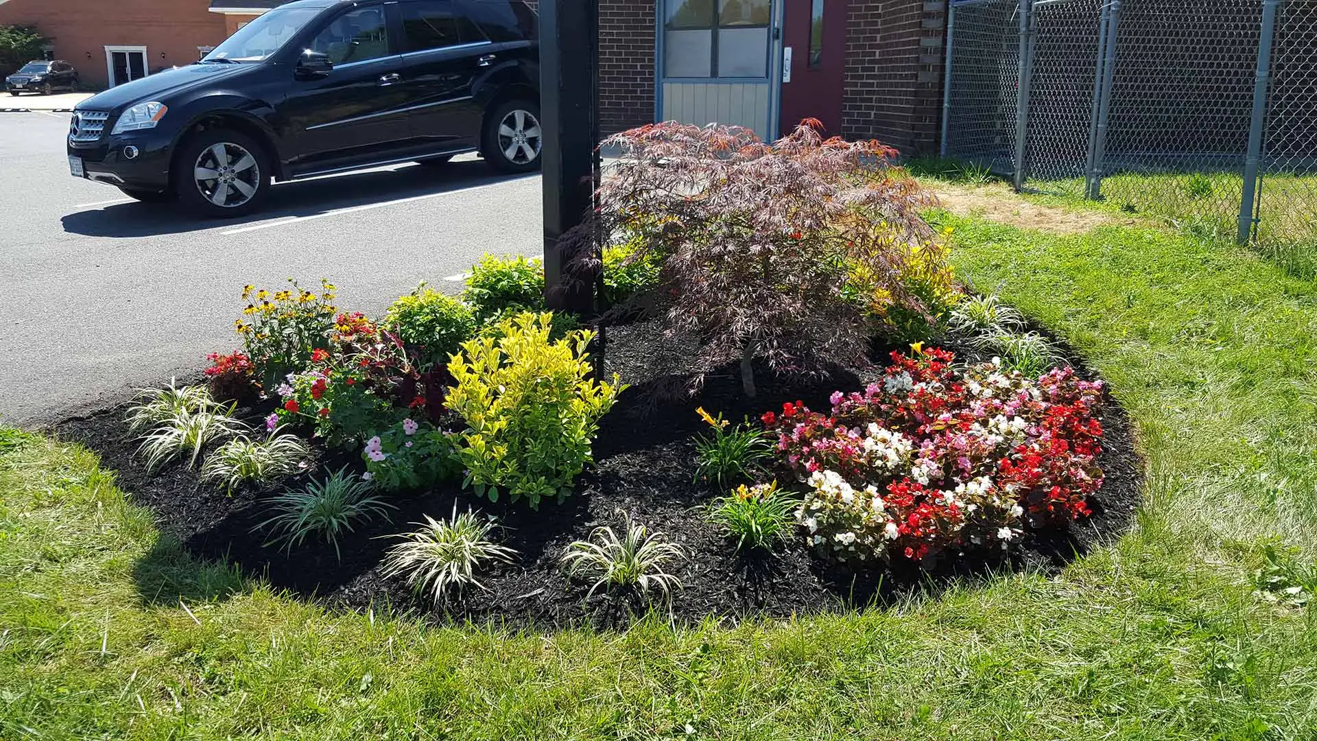 Annual flowers planted in a freshly mulched landscape bed near Bristow, VA.