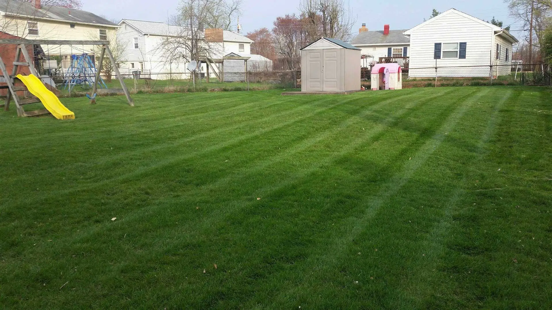 A backyard with mowing stripes in Bristow, VA.