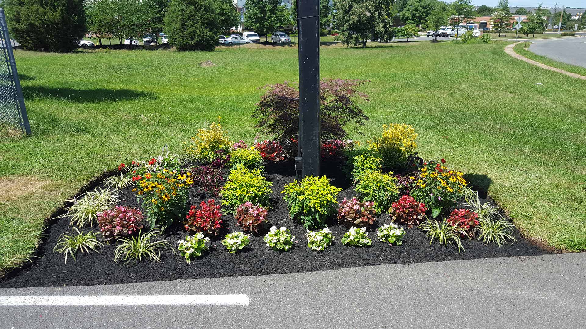 Landscape bed designed and installed at a Haymarket, VA business.