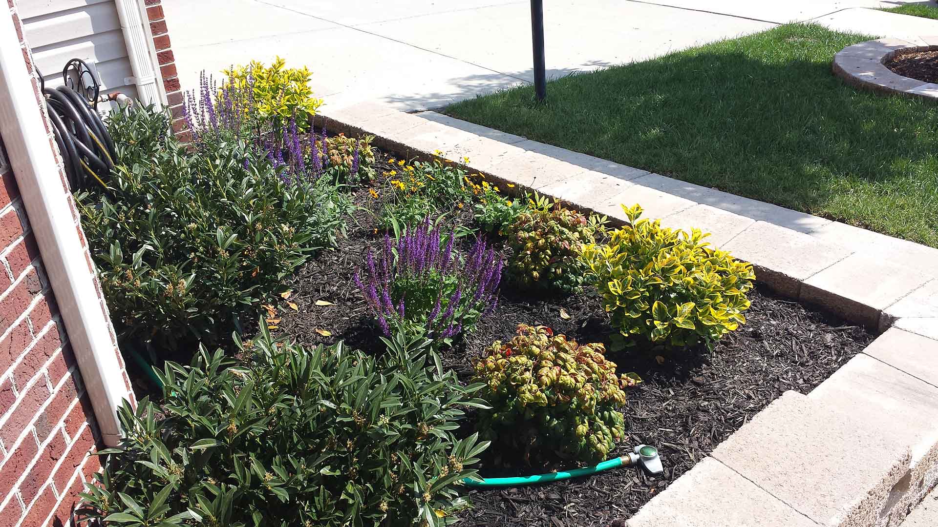 Lawn & Landscape Care in Bristow, Patriot Lawn and Landscape Patriot