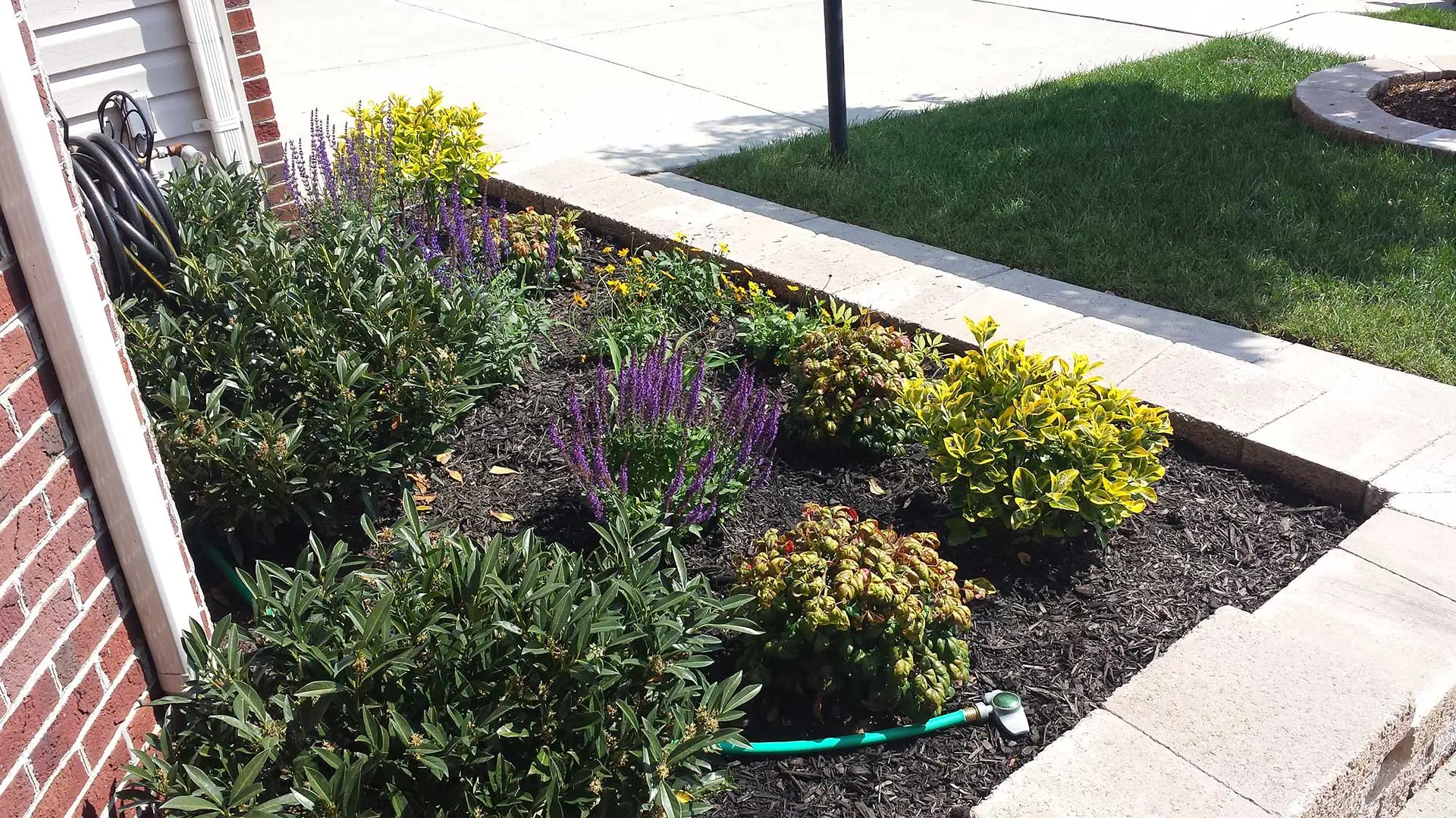 Our landscape maintenance services for Haymarket include ground cover installation, weeding, trimming and pruning, and more.