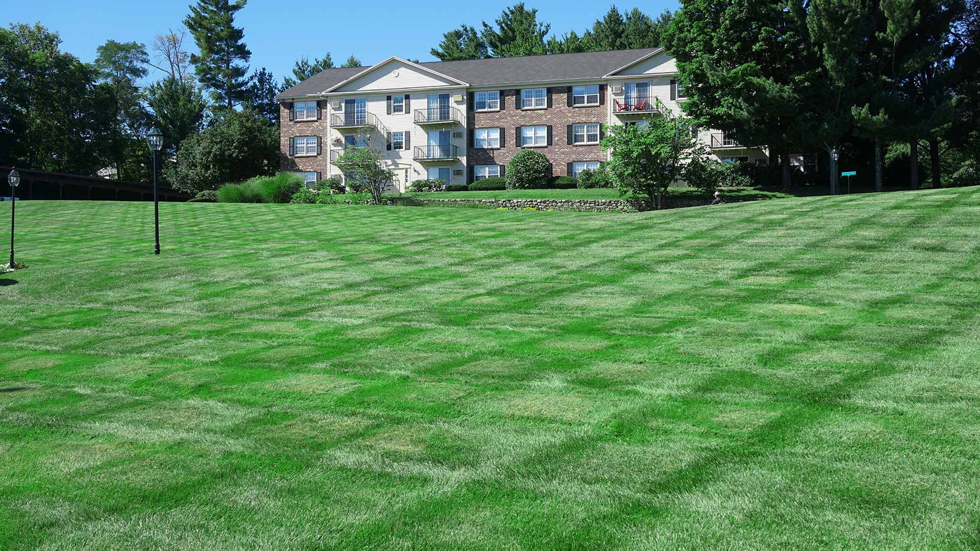 Commercial Lawn Care in Bristow, Haymarket, & Manassas, VA ...