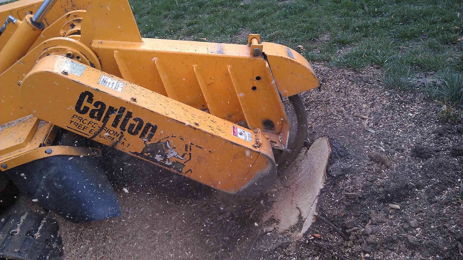 Tree stump being ground down at a Bristow, VA property.