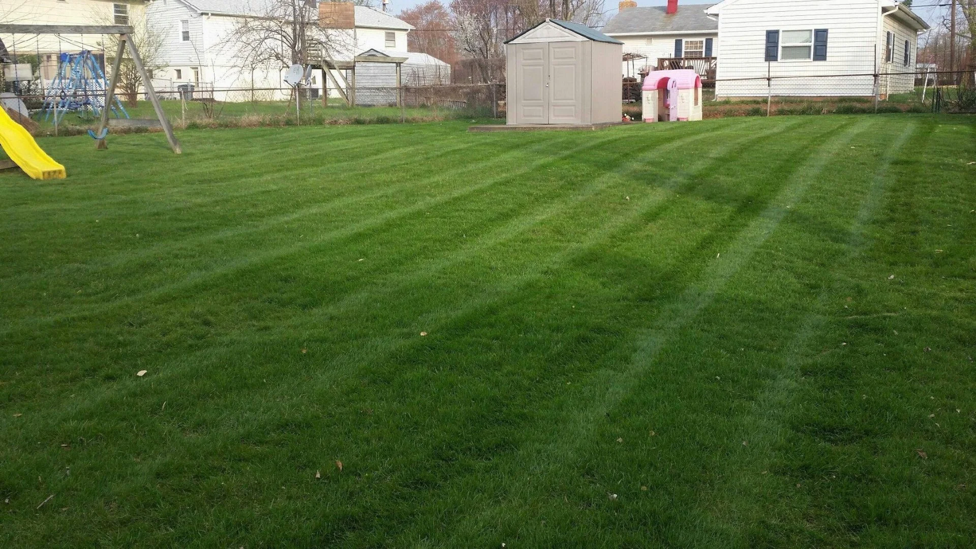 Your Fall Lawn Care Routine Should Include Aeration & Overseeding!