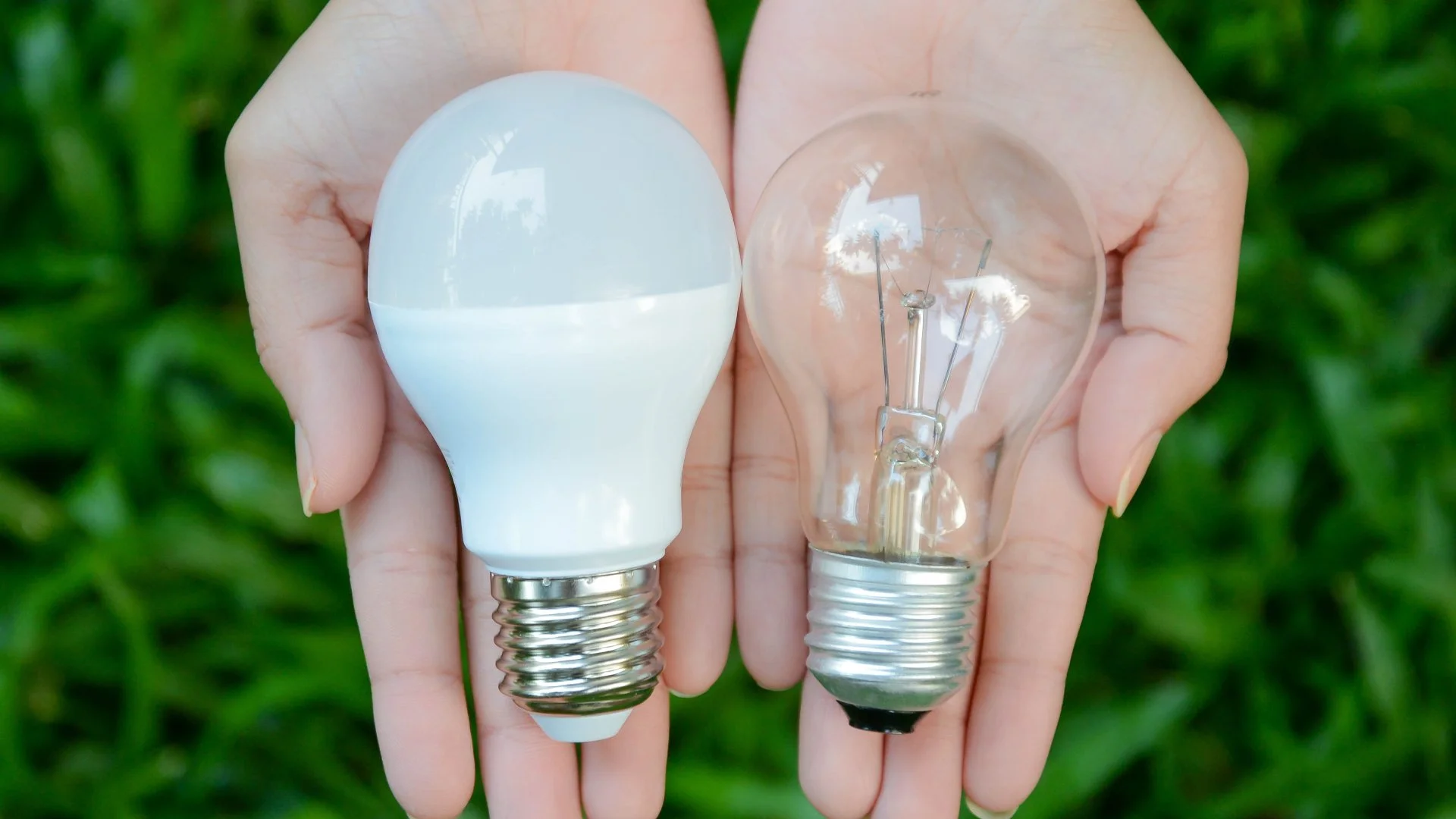 LED vs Incandescent Lights - Which Option Is Better for Outdoor Lighting?