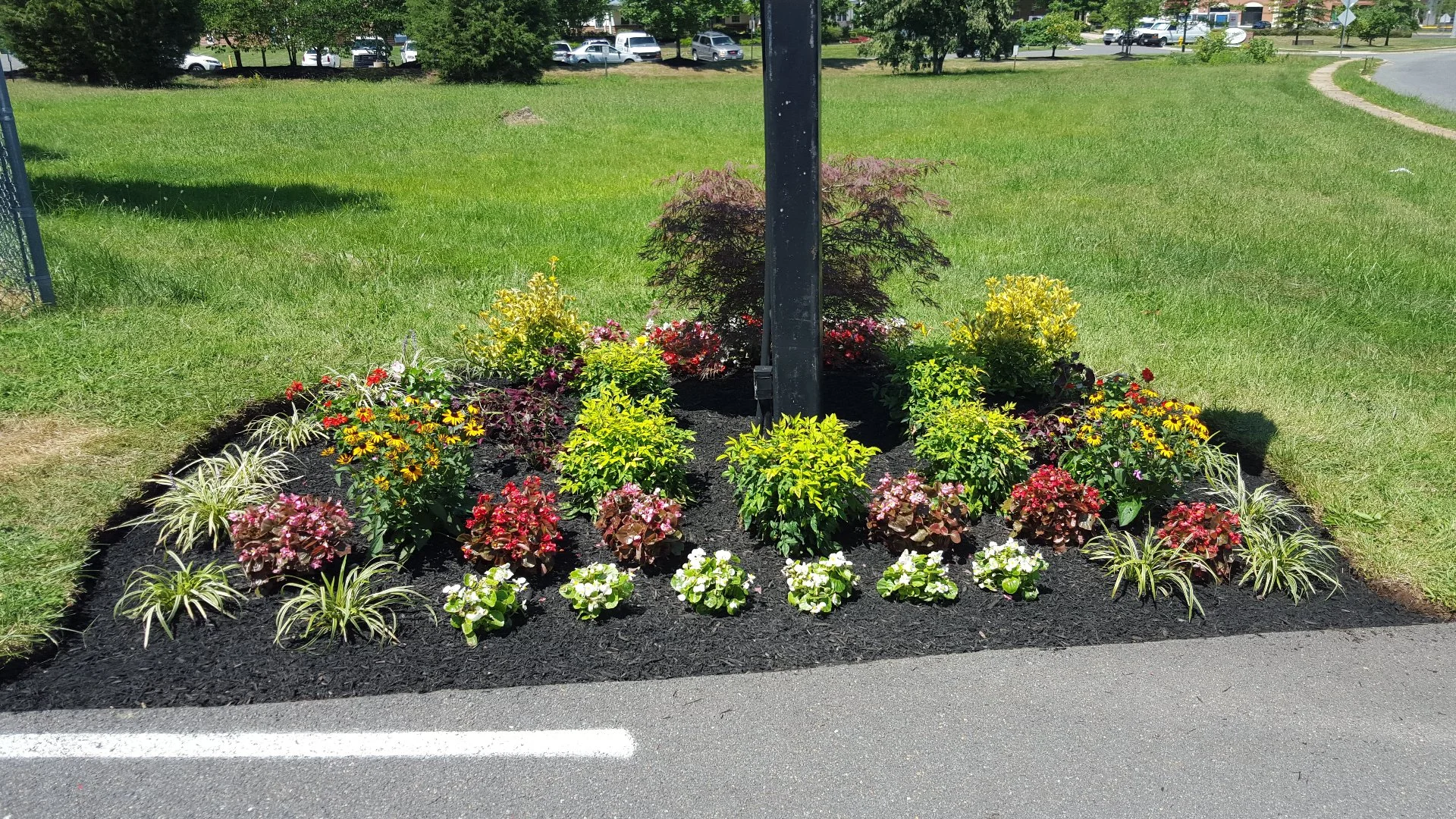 Your Mulch Layer Should Be the Right Thickness for Optimal Results