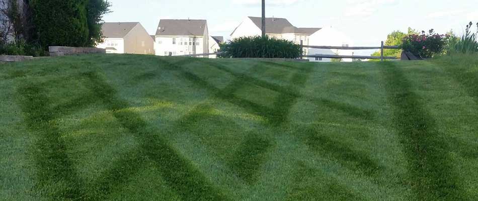 What Times of the Year Your Yard Needs Lawn Care Treatments