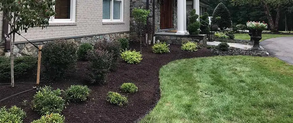 Does Landscaping Increase the Value of Your Home in Virginia?