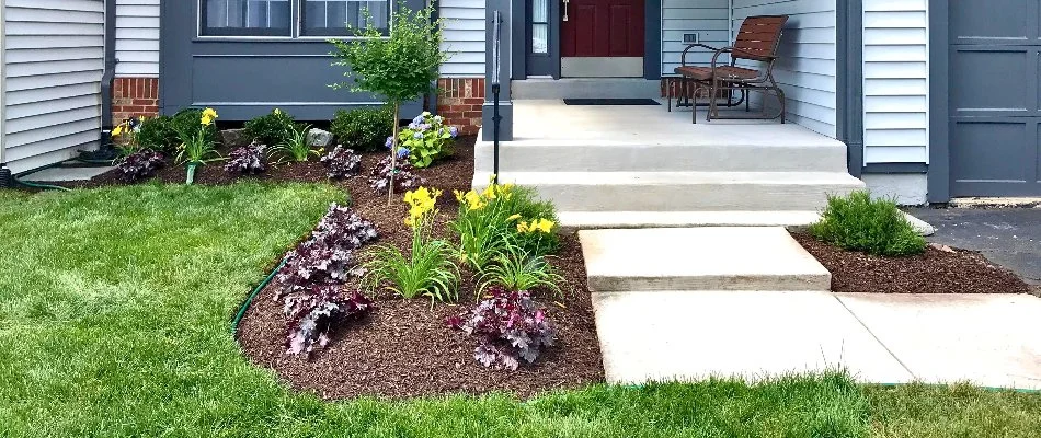 Front yard landscape in Bristow, VA, with shrubs and flowers.