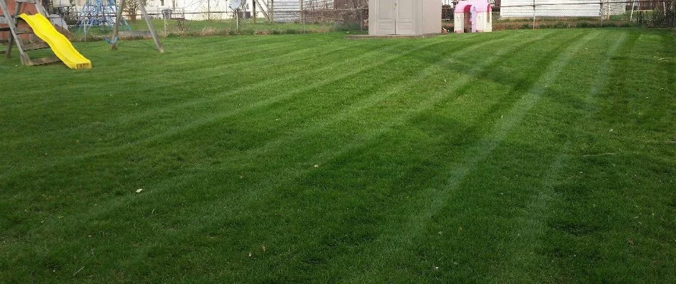 Green grass in Bristow, VA, with mowing stripes and a yellow slide.