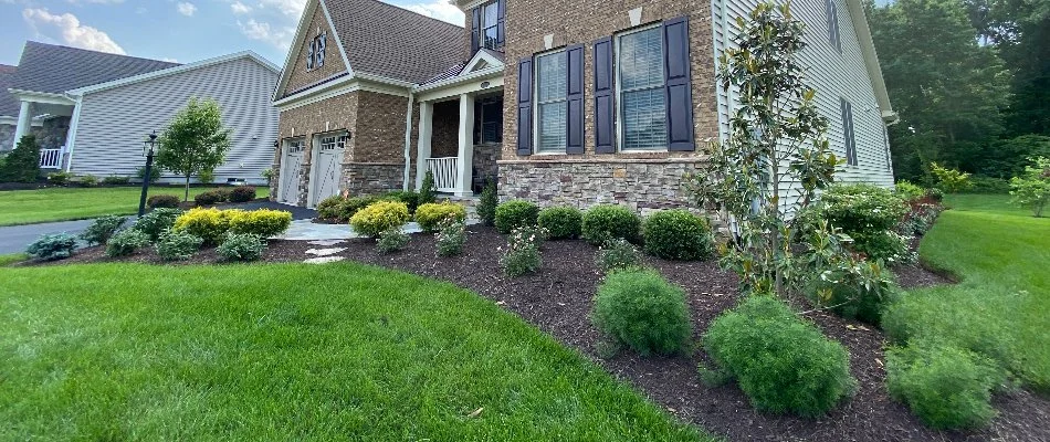 Home in Bristow, VA, with landscape bed full of plants.