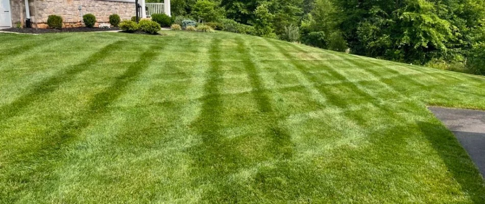 Rotated mowing patterns on a lawn in Bristow, VA.