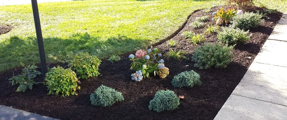 Small corner landscape bed in Bristow, VA.