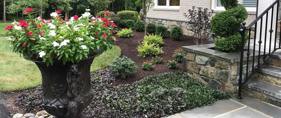 Flowers and potted plants in a mulch landscape bed in Wellington, VA.
