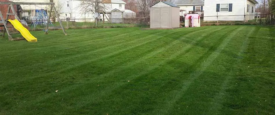 Freshly mowed residential yard with mowing stripes in Clifton, VA.
