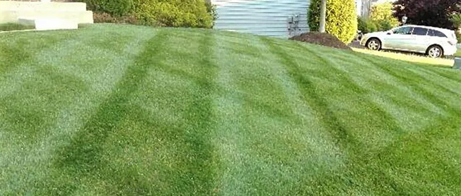 A healthy lawn at a home in Haymarket, VA.