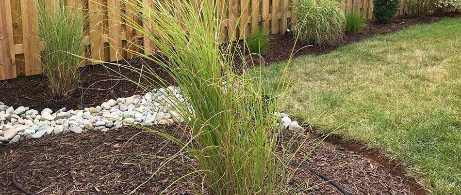 An example of a well executed ground cover install in Manassas that included both mulch and rock.
