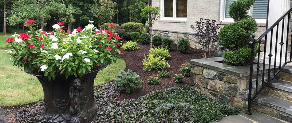 One of our newest landscape designs that was executed in Bristow, VA.