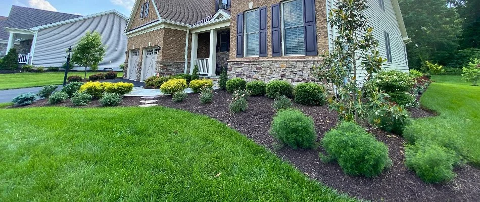 Dark green grass and a landscape bed on a property in Lake Ridge, VA.