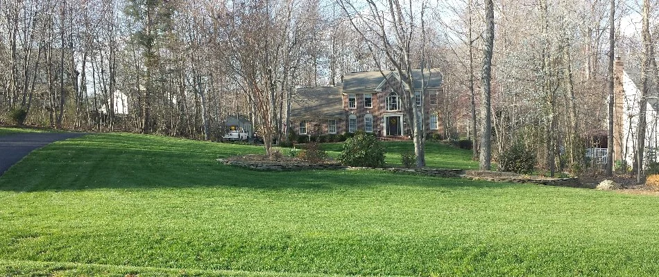 Green, healthy lawn with bare trees on a property in Bristow, VA.