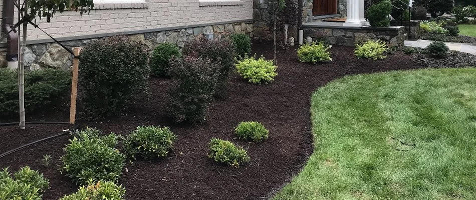 Landscape bed in Bristow, VA, along grass with plants.