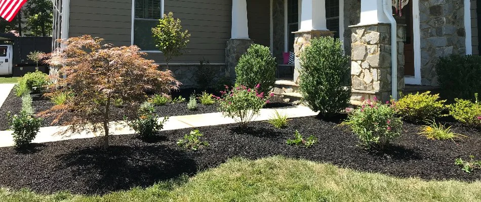 Landscape beds filled with plants on a property in Dale City, VA.