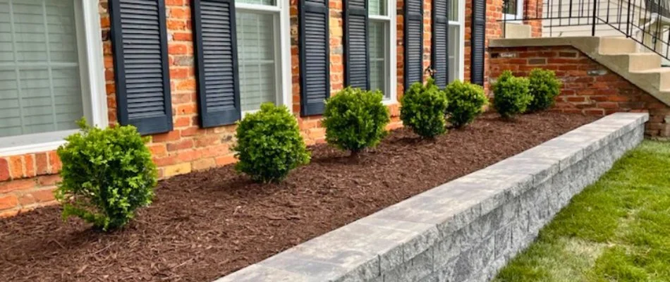 A landscape bed with shrubs in Buckhall, VA.