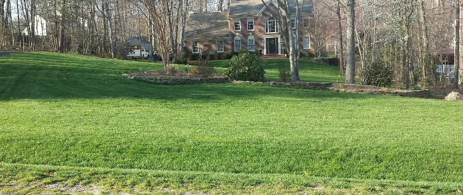 Large, green lawn in Bristow, VA, with a landscape bed and brick house.;