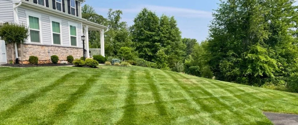 Lawn with mowing stripes on a property in Bristow, VA.