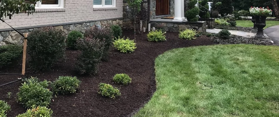 Mulch and plants in landscape bed in front of house in Bristow, VA.