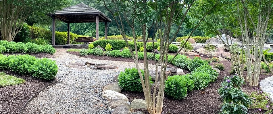 Many shrubs and trees in a commercial space located in Bristow, VA.