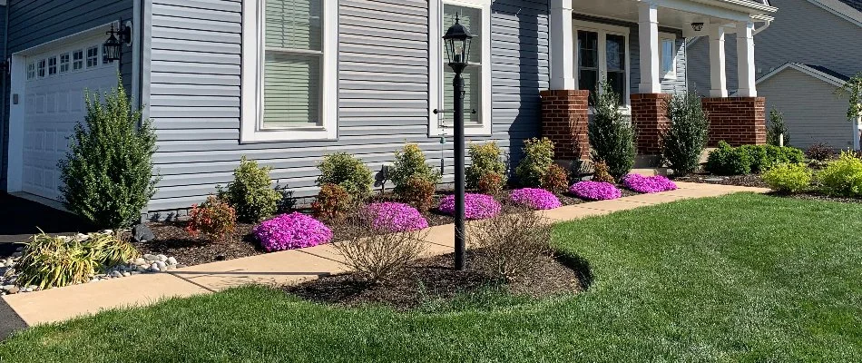 A property in Woodbridge, VA, with flowers and shrubs.