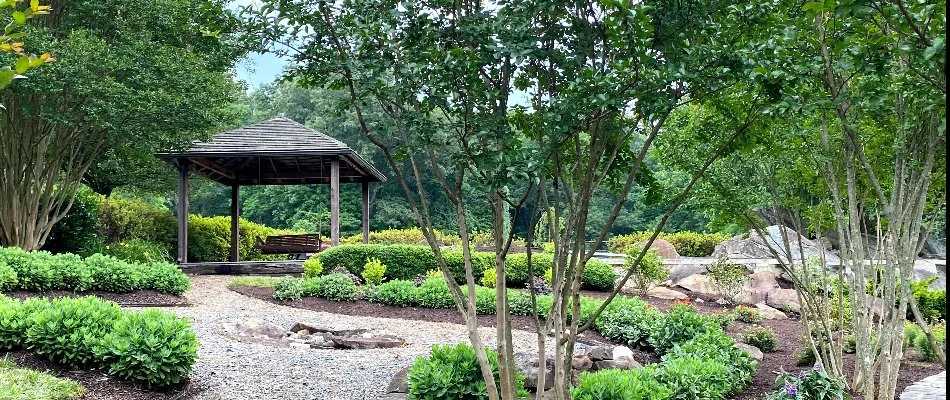 Trees and shrubs in the backyard of a property in Woodbridge, VA.