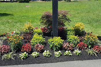Annual flowers rotated and installed in Haymarket, VA.
