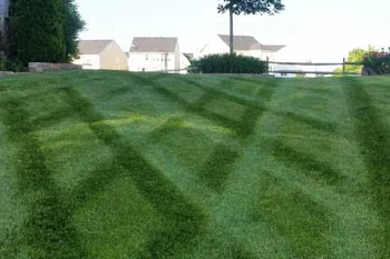 Lawn mowing pattern after a recent mow at a home in Bristow, VA.